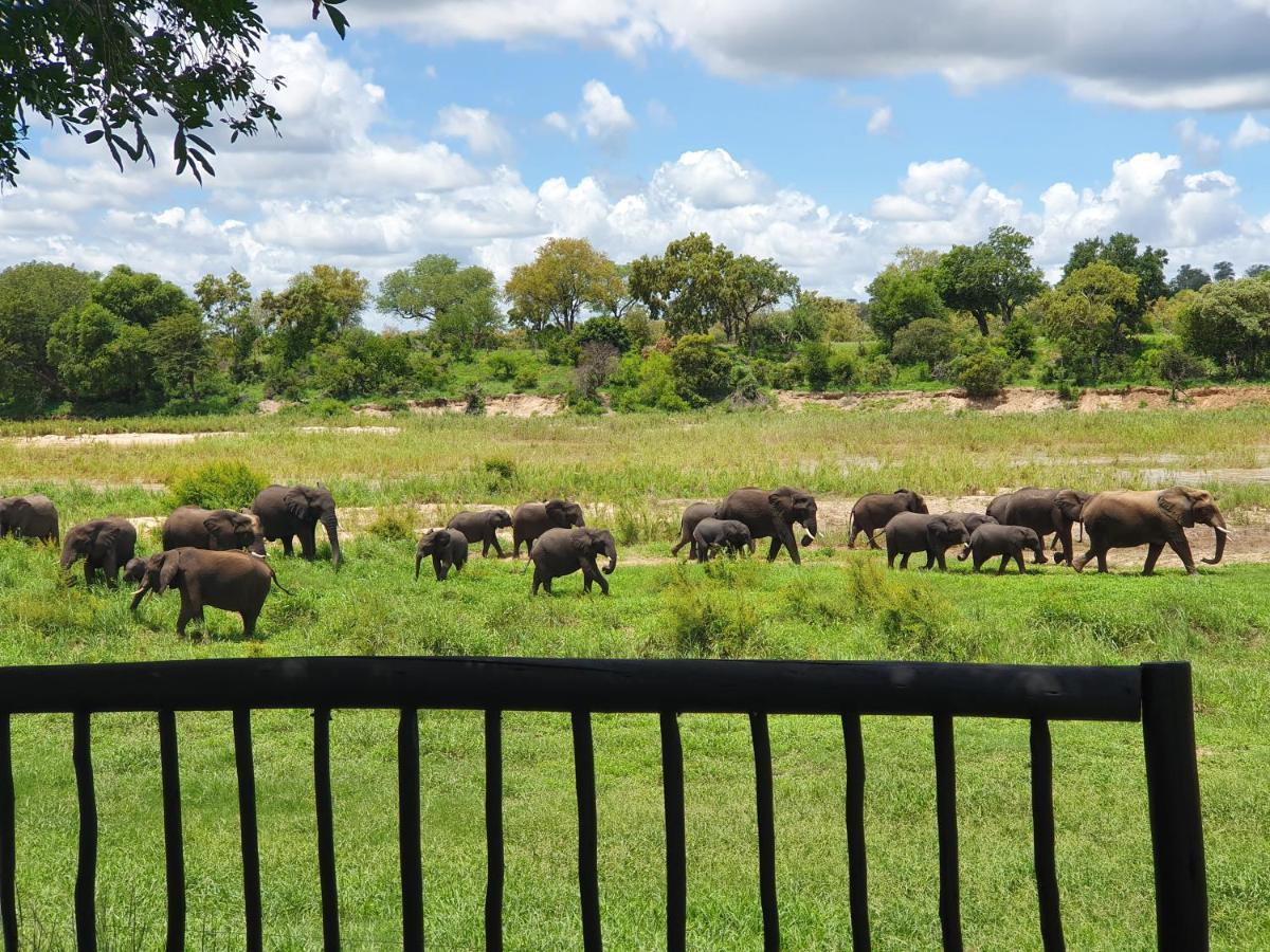 Umkumbe Safari Lodge Riverside スククザ エクステリア 写真